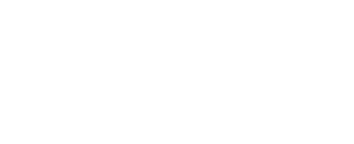 Fondo institucional